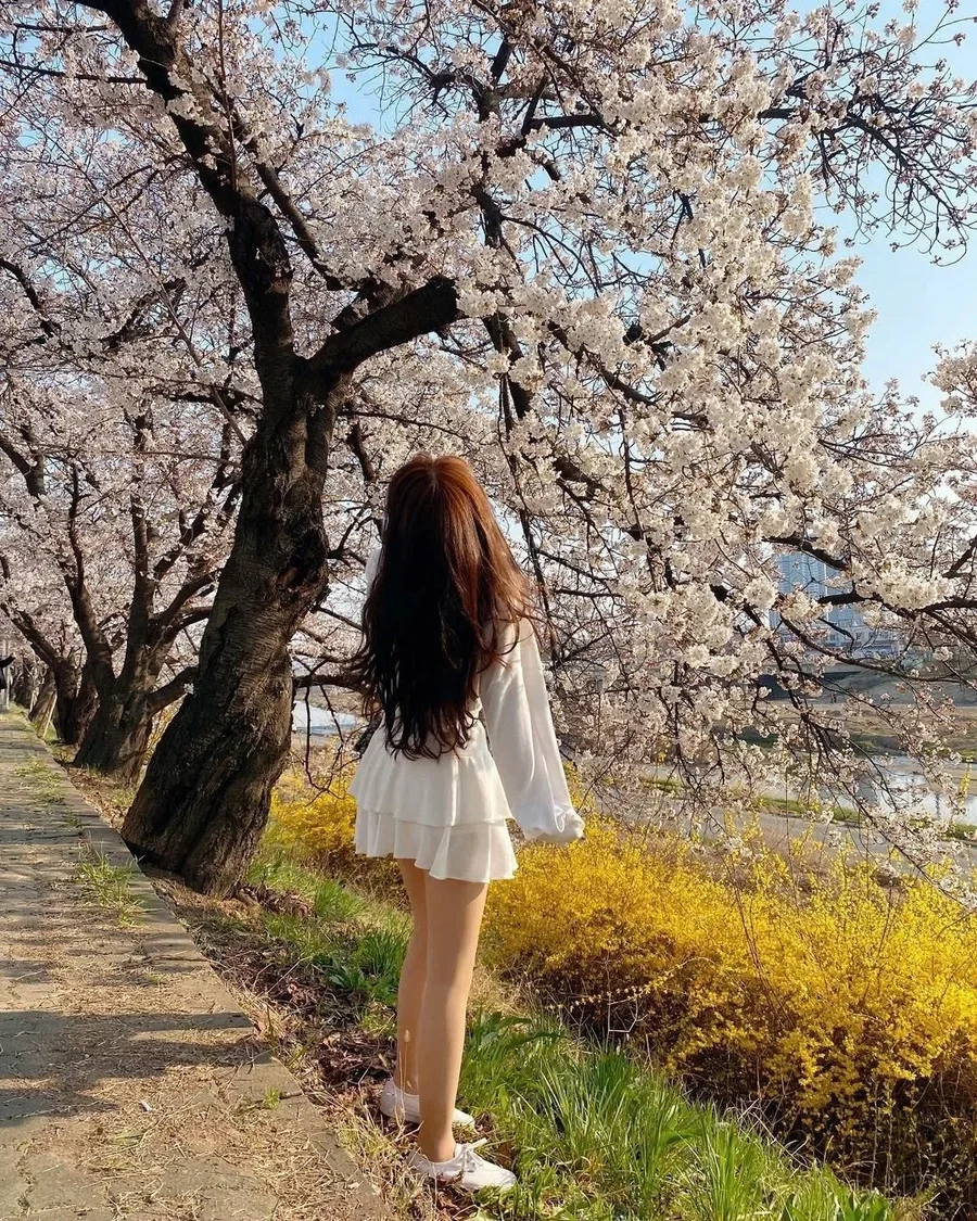 Avatar độc đáo từ ảnh đại diện gái xinh che mặt