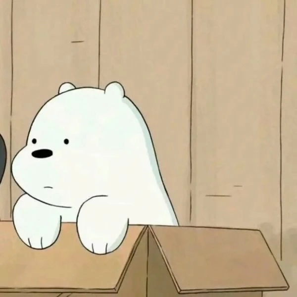 Khám phá hình ảnh gấu trắng dễ thương mới nhất