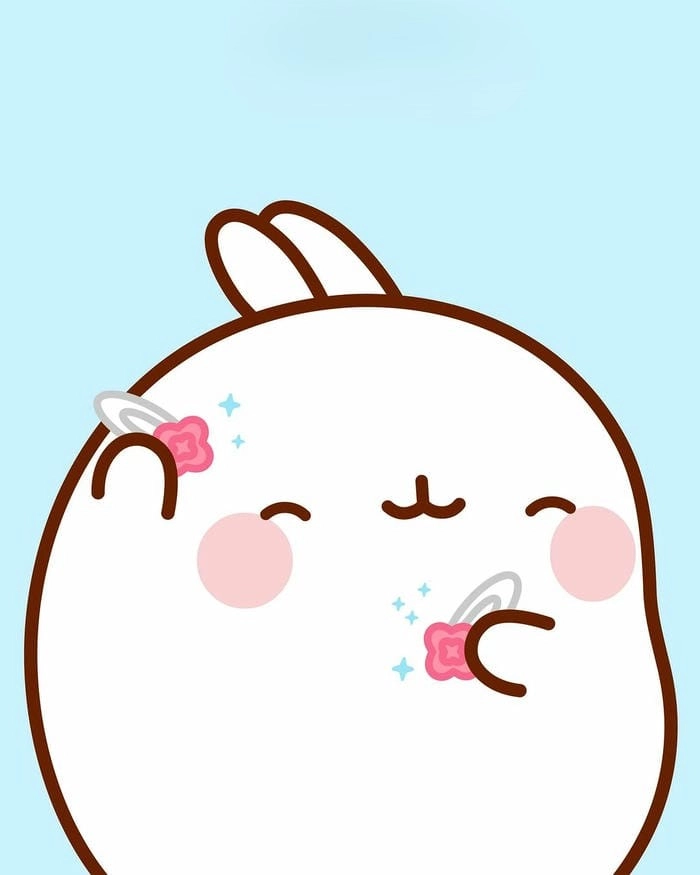 Tổng hợp chibi hình thỏ cute cho tín đồ yêu thú dễ thương