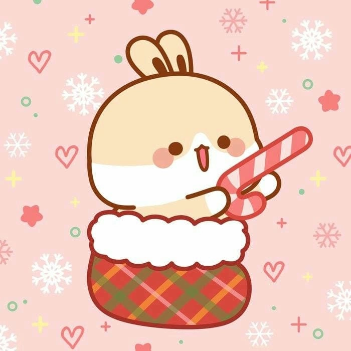 Thư giãn với loạt con thỏ cute đáng yêu chuẩn gu bạn trẻ