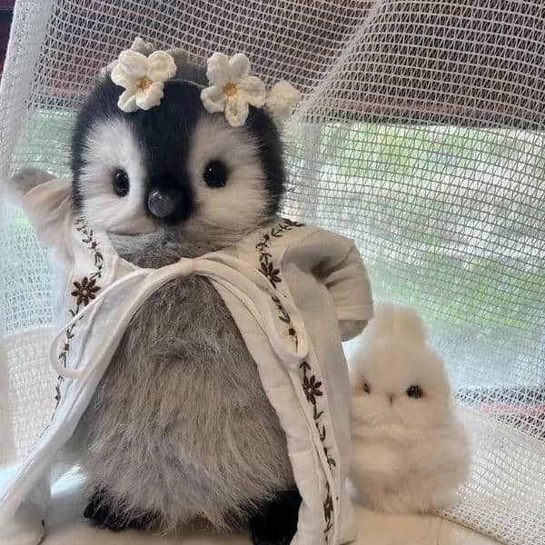 Tìm hiểu các loại chim cánh cụt khắp thế giới