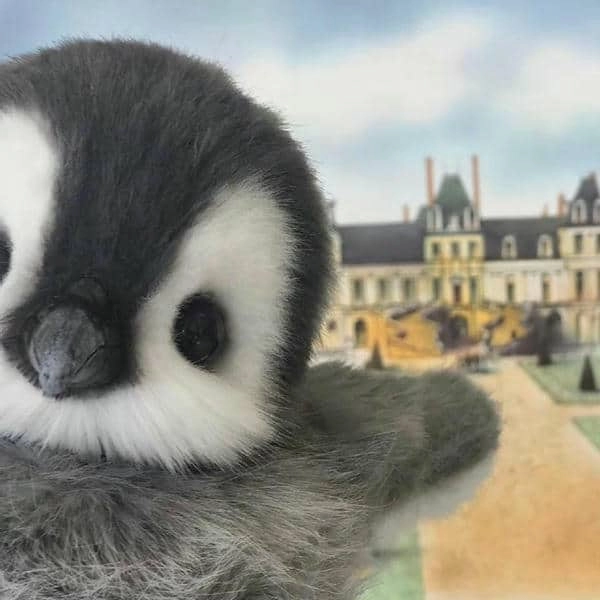 Thử ngay avatar chim cánh cụt ngầu cá tính