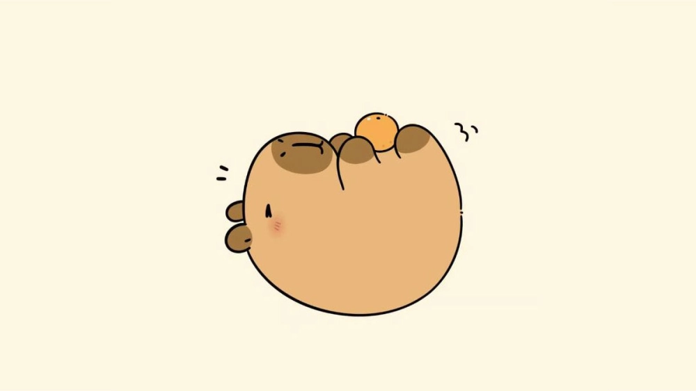 Lưu nhanh avatar chibi chibi avatar hình nền capybara cute độc đáo