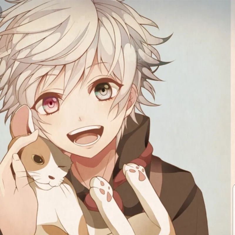 Sở hữu ảnh đại diện zalo cute cực chất