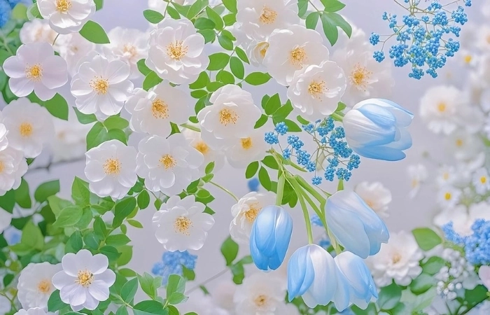 Chia sẻ avt face đẹp miễn phí