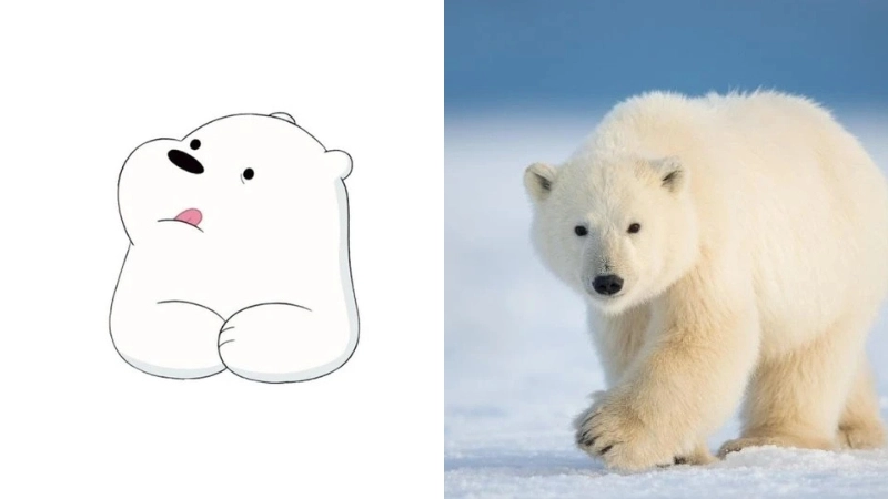 Bí mật avatar gấu trắng là như thế nào