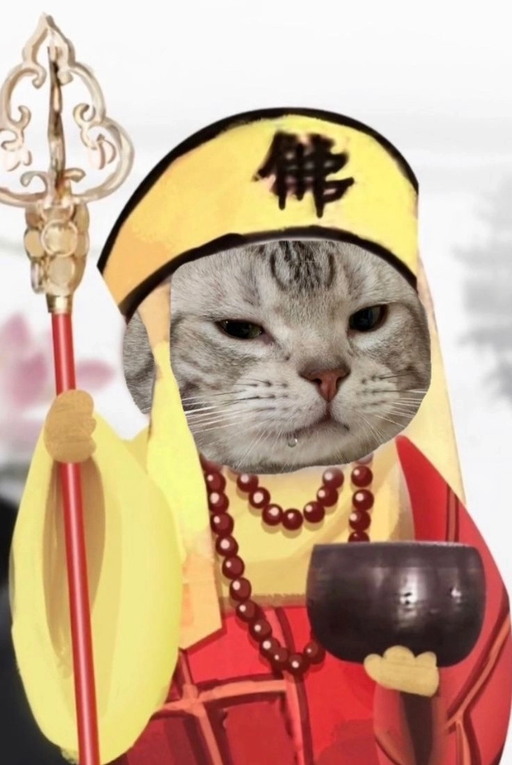 Chiêm ngưỡng hình chó bựa cực chất