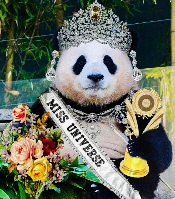 Thư giãn với hình chó hài hước hot