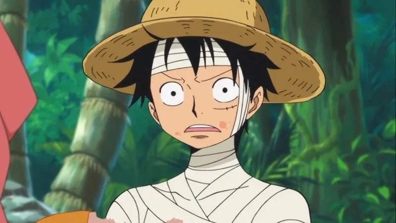Cập nhật hình nền zoro cute siêu dễ thương