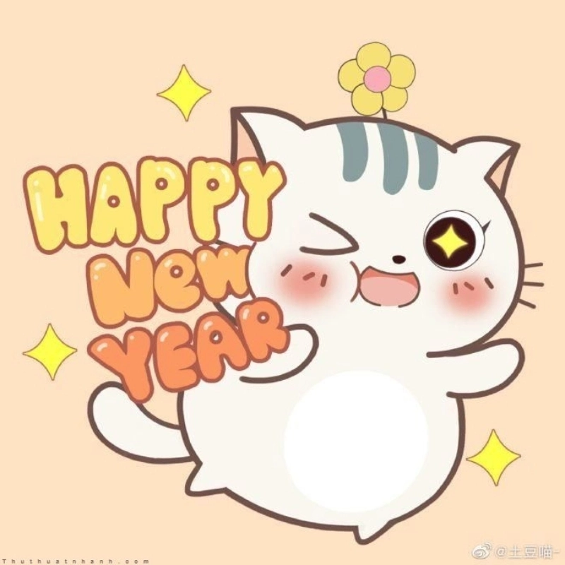Đón xuân với avatar mèo tết meme dễ thương hết cỡ