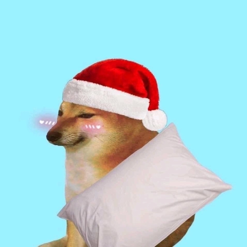 Gây bão với bộ ảnh avt meme mới nhất