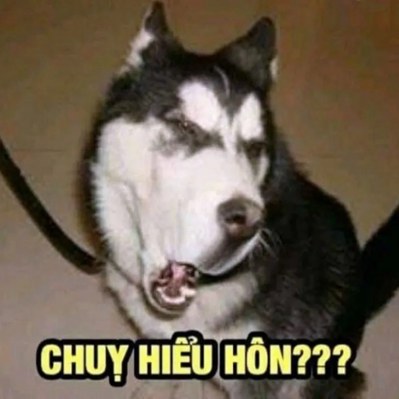 Cười nghiêng với hình meme hài cực bựa