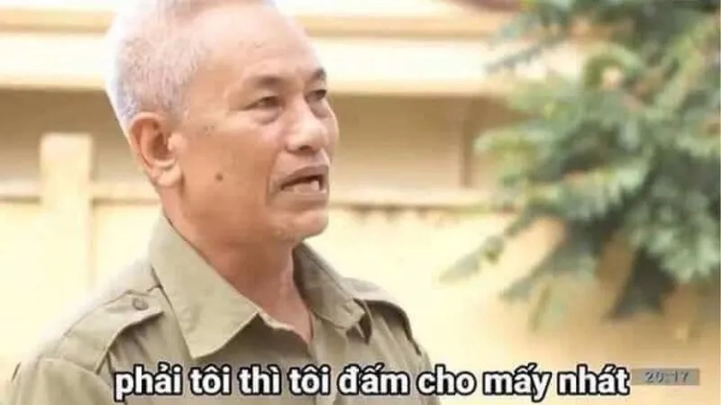 Ngắm nhìn avatar mèo giáng sinh meme cute