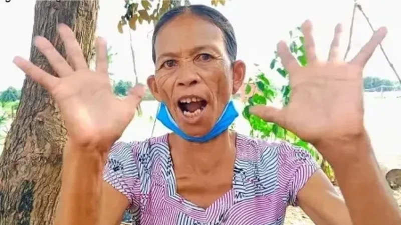 Xem avatar con mèo meme bá đạo