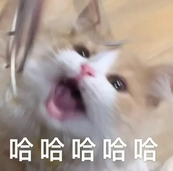 Sưu tầm ảnh noel vô tri meme bá đạo