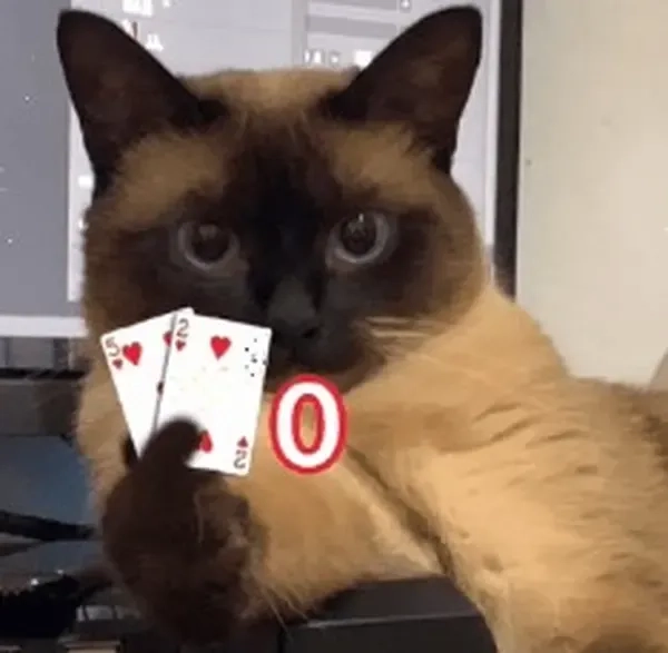 Sưu tầm icon chế ảnh meme cute dễ thương