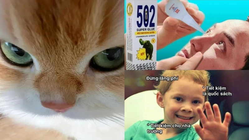 Avatar meme là như thế nào thu hút giới trẻ