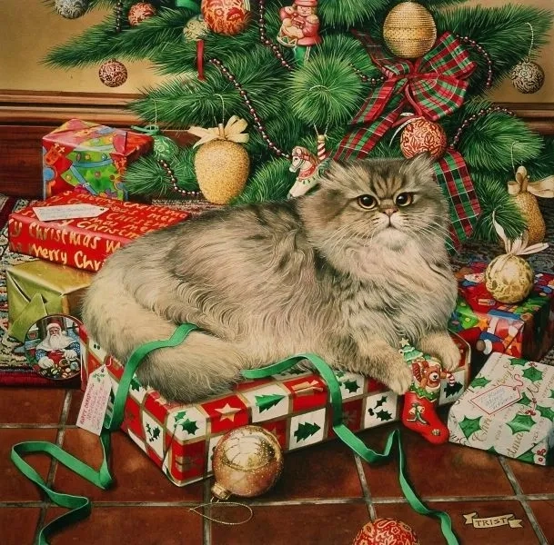 Cập nhật avatar con mèo mỗi ngày