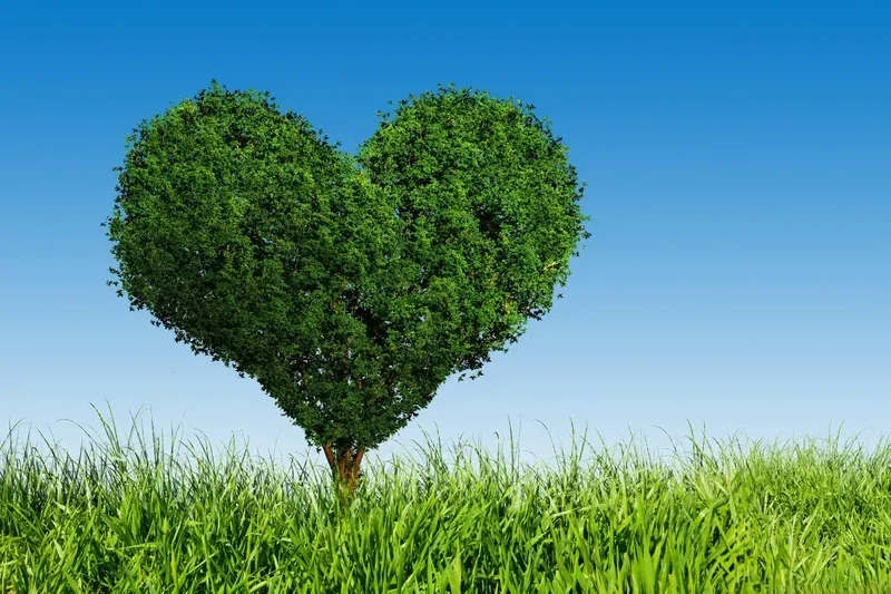 Chiêm ngưỡng hình trái tim đôi dễ thương