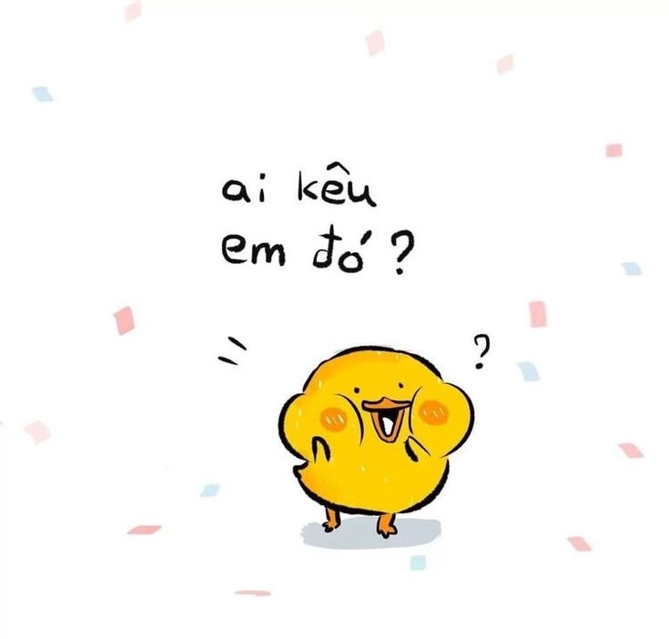 Bộ sưu tập hình ảnh con vịt trắng đáng yêu hot trend