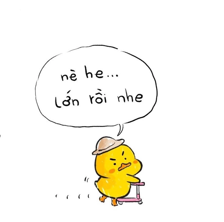 Chia sẻ ảnh con vịt trắng đẹp mê ly dễ thương