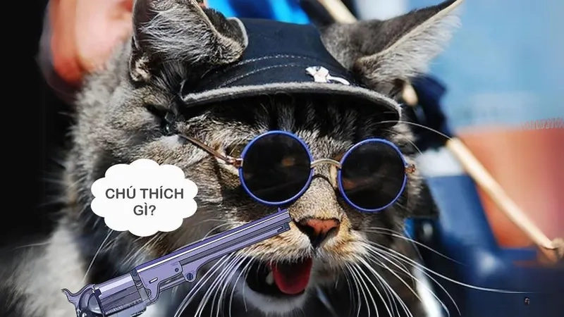 Xem ngay ảnh meme bựa bá đạo