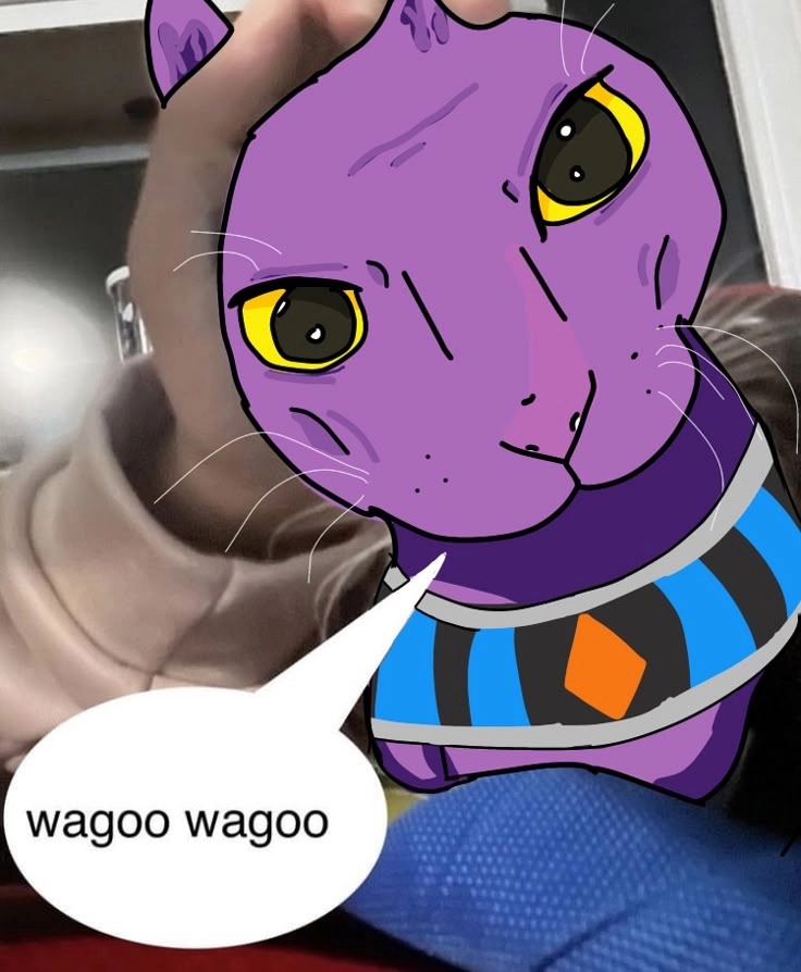 Beerus memes loạt ảnh chế khiến fan cười ngất