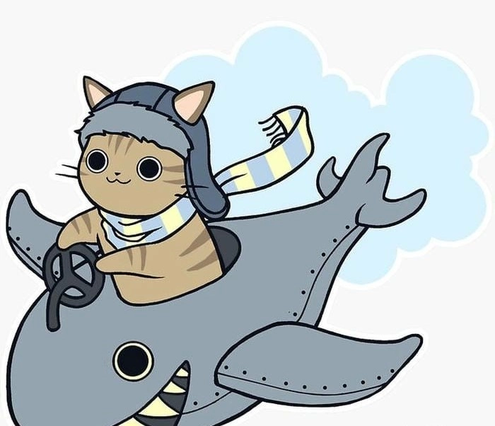 Tìm hiểu thêm về cá mập chibi dễ thương