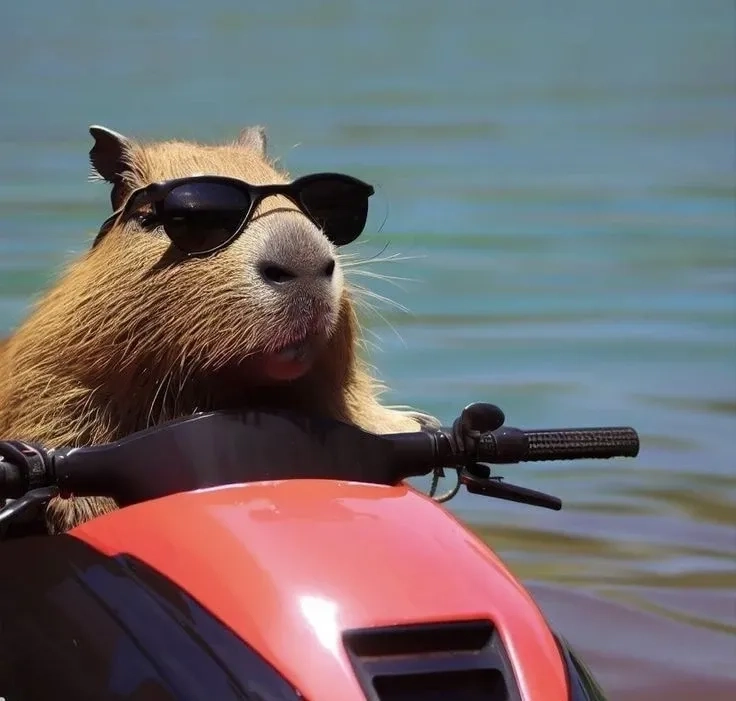 Trùm đáng yêu gọi tên capybara meme cute