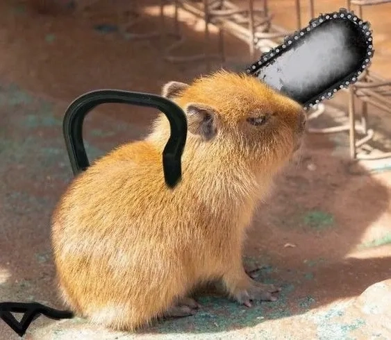 Tổng hợp bộ sưu tập hình ảnh capybara meme siêu hot