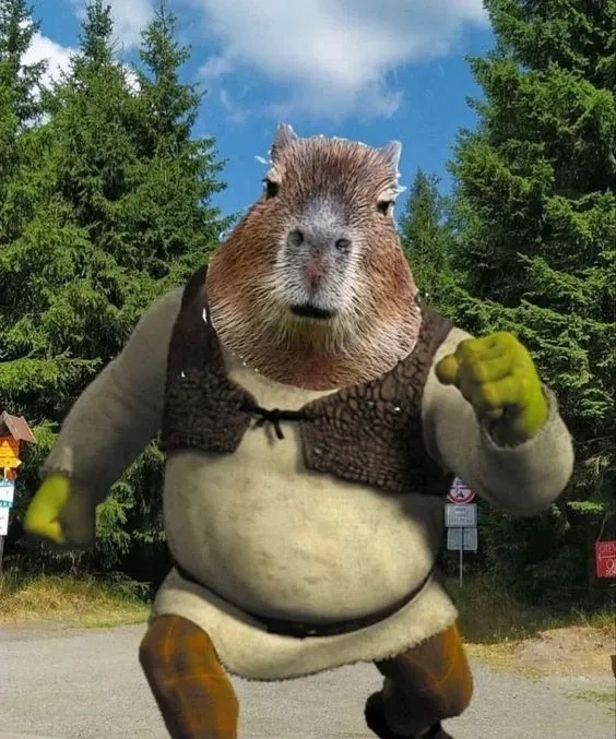 Cài ngay hình nền capybara meme chill nhẹ mỗi ngày