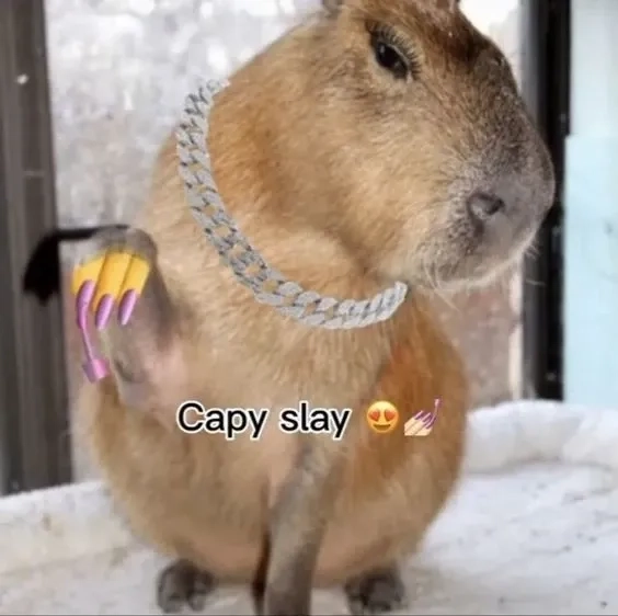 Bùng nổ mạng xã hội với loạt capybara meme images