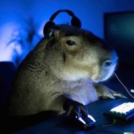 Mỗi ngày một nụ cười với hình meme capybara