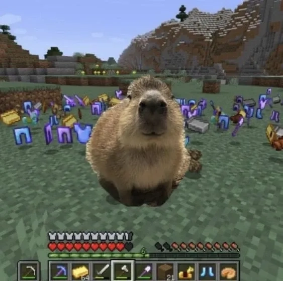 Lướt mạng là thấy ngay ảnh capybara meme viral cực mạnh