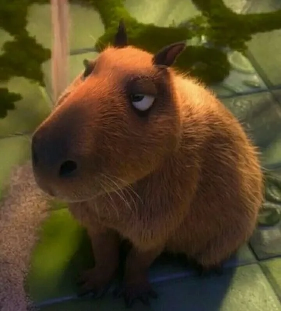 Chọn ngay ảnh meme capybara để chill cùng hội bạn