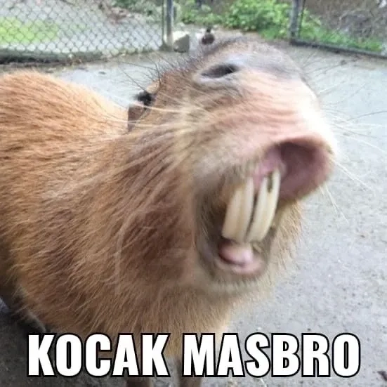 Bật mood cuối ngày bằng meme capybara hét siêu hài