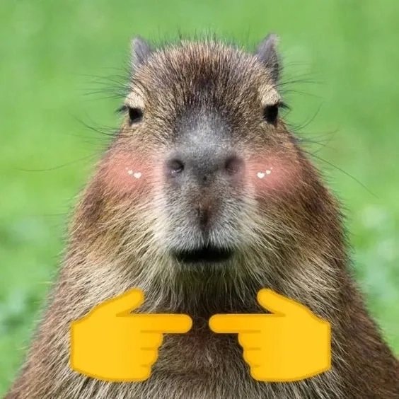 Cười không ngậm được miệng với funny funny capybara meme