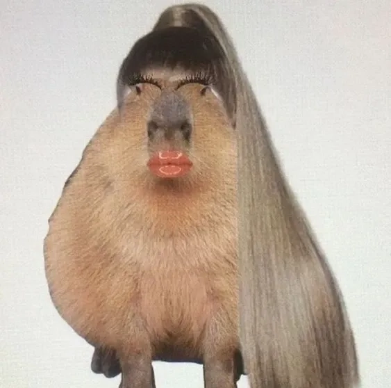 Mùa hè sảng khoái cùng capybara eating watermelon meme