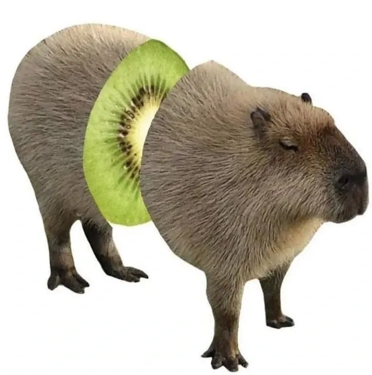 Từ điển vui nhộn có thêm capybara ngoại giao
