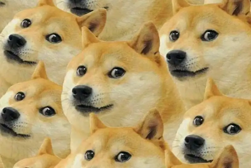 Combo hài hước siêu đáng yêu từ cheems memes