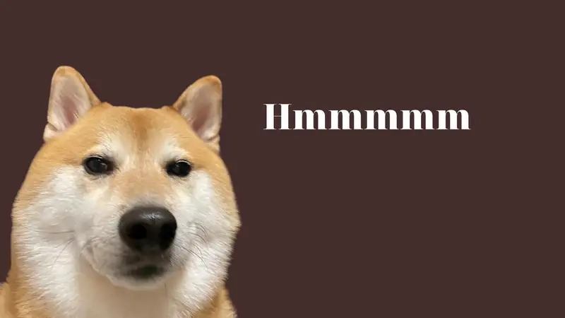 Lưu ngay bộ khung sẵn cheems meme template để chế ảnh
