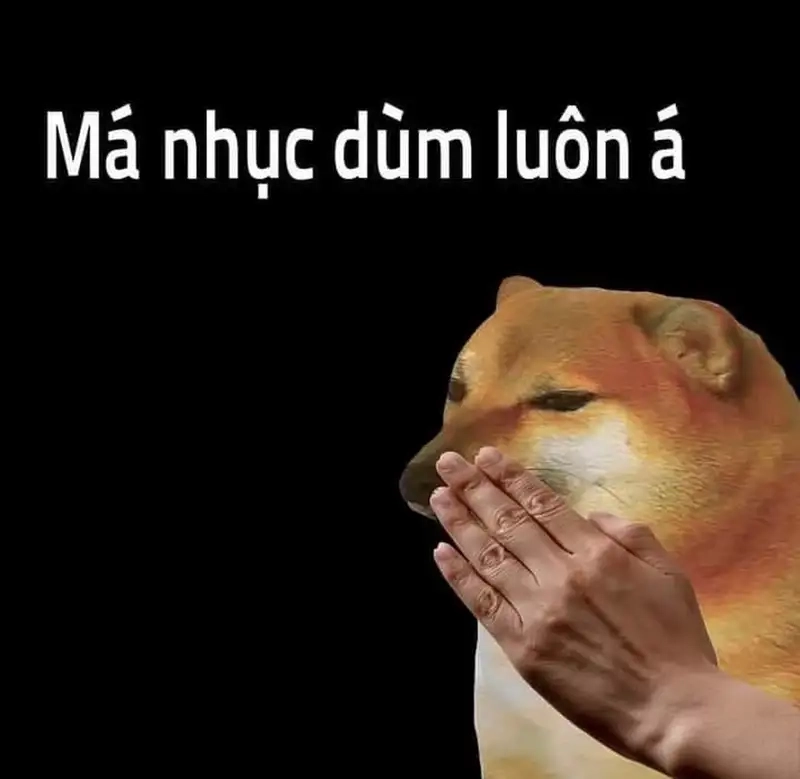 Mệt mỏi kiểu Cheems chính là cheems meme ansiedad