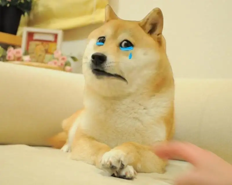 Pha bất ngờ siêu mặn từ bất ngờ cheems meme vietnam