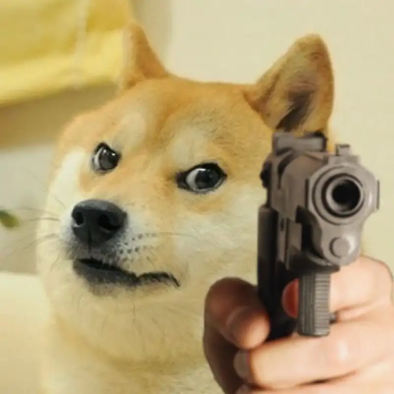 Tổng hợp loạt hình ảnh cheems meme siêu hài hước