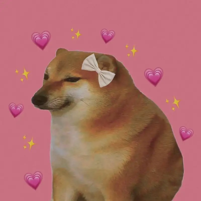 Hóa thân ấn tượng cùng shiba cheems meme