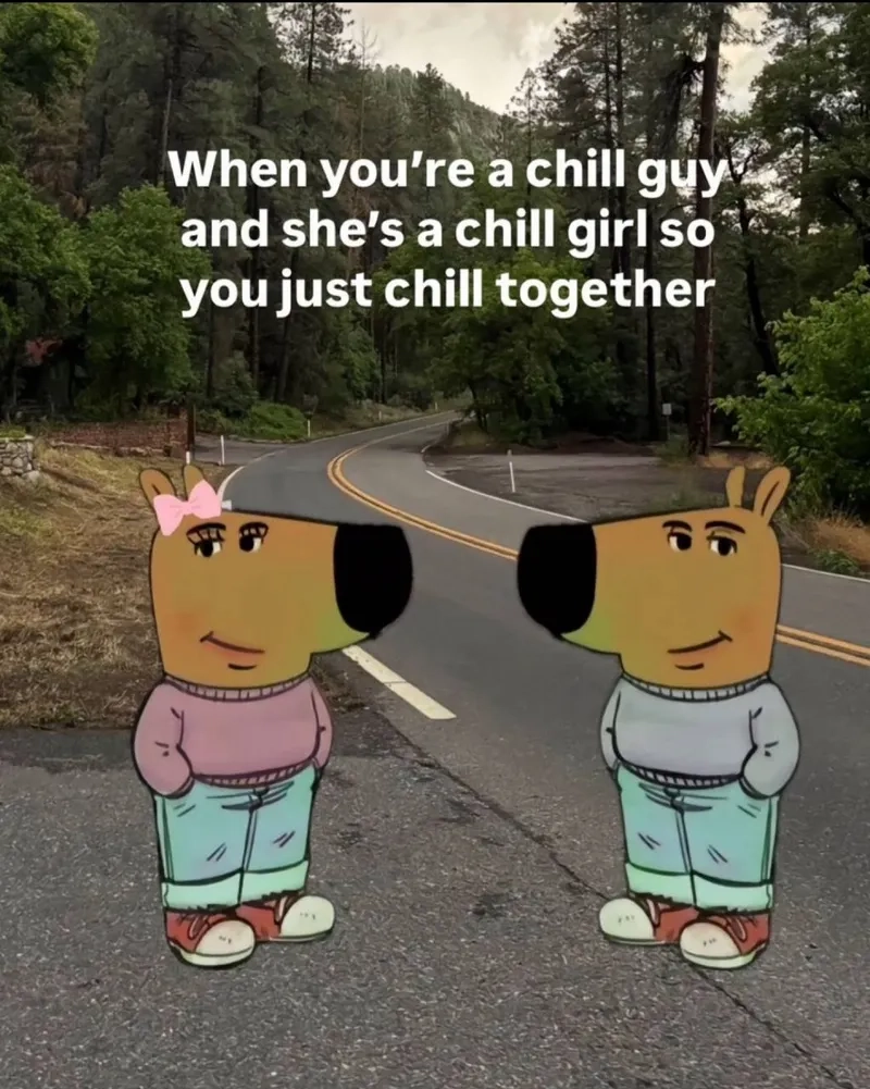 Chất lượng cực đỉnh với chill guy 4k