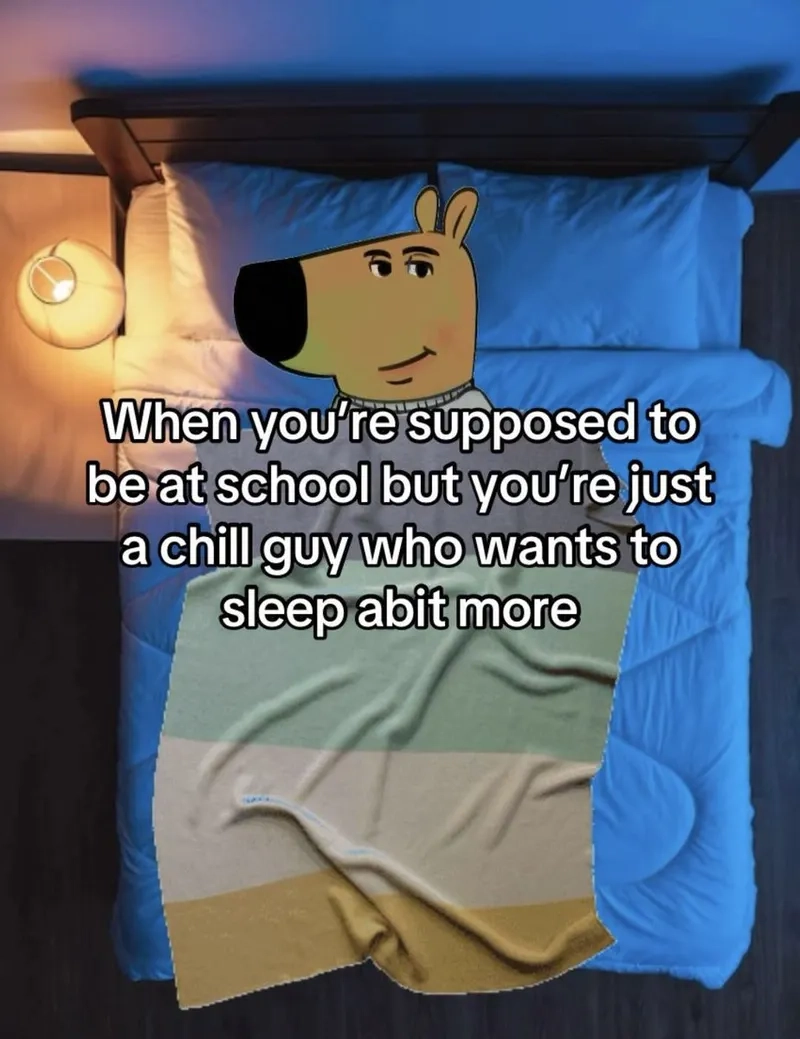 Cài ngay chill guy hình nền đẹp miễn chê