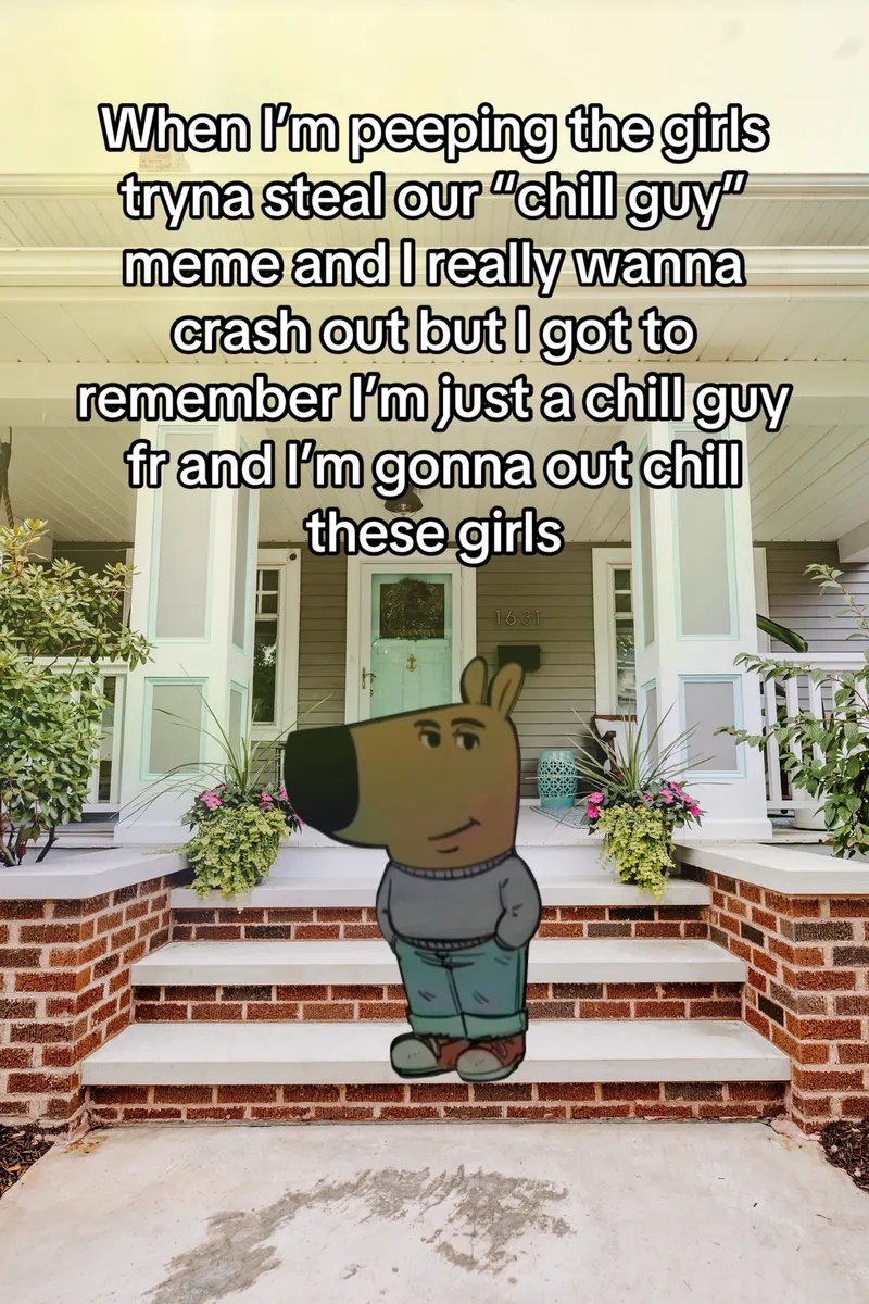 Những biểu cảm chất lừ từ chill guy gif