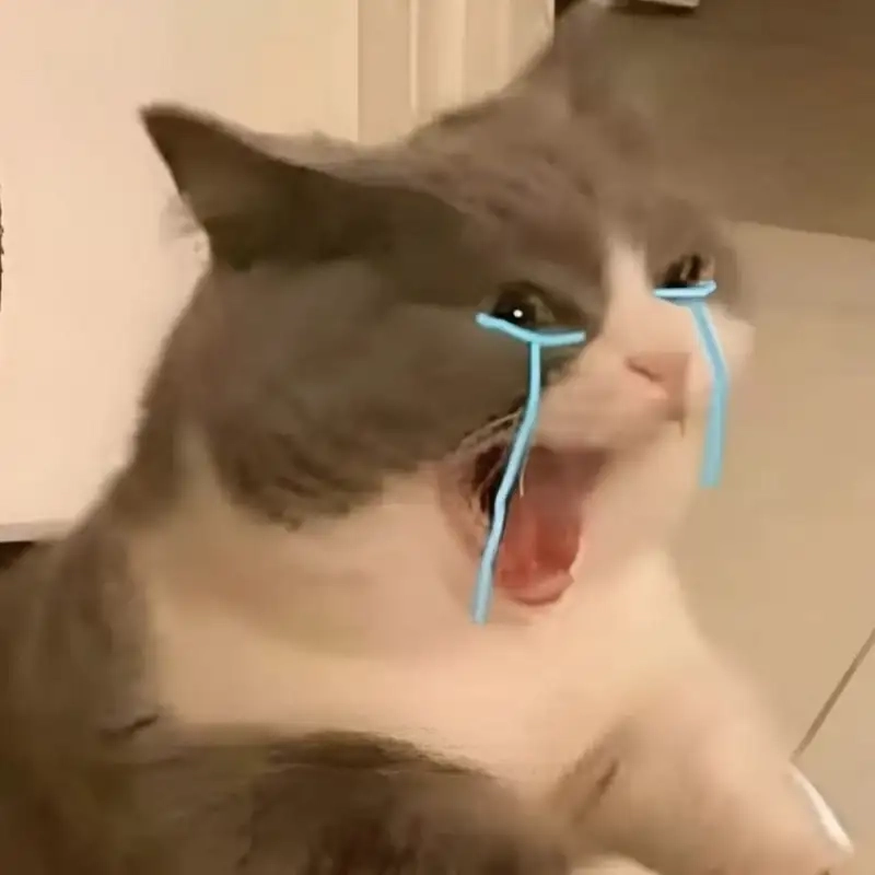 Không thể rời mắt với meme cat cry siêu hài siêu dễ thương