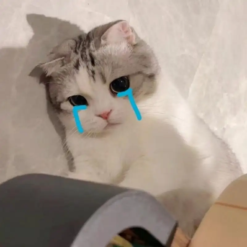 Dân mạng phát cuồng vì cat crying meme siêu cảm xúc